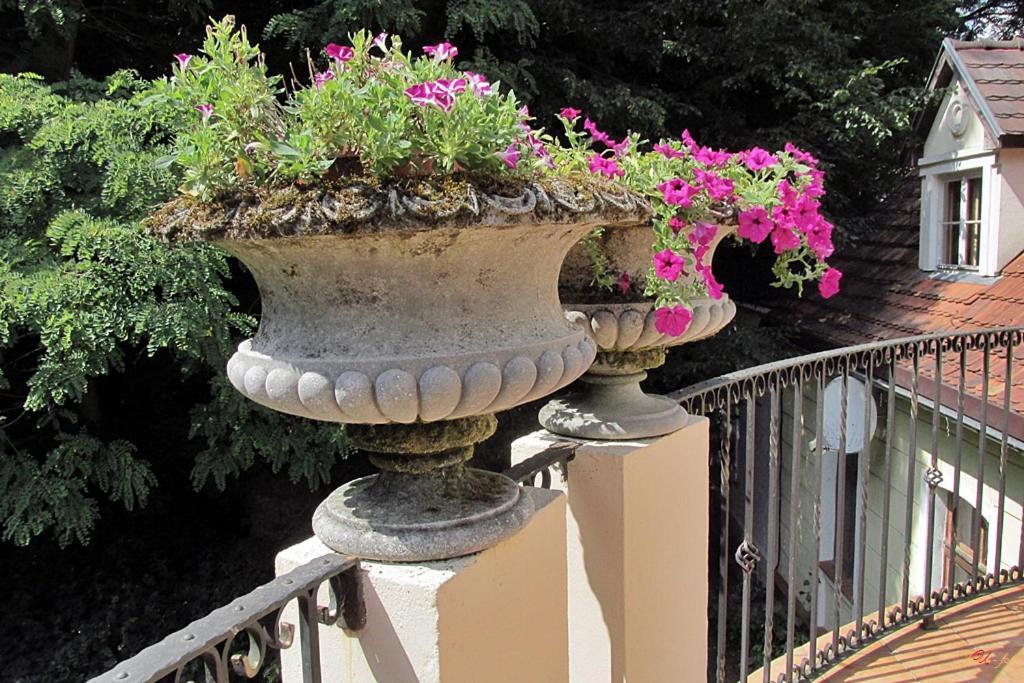 Cichy Dwor Otel Manowo Dış mekan fotoğraf